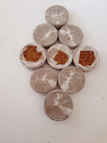 Natural Jiffy Peat Pallet, For Plant Nurseries, Home Gardening Agriculture, Packaging Type : Plastic Bag