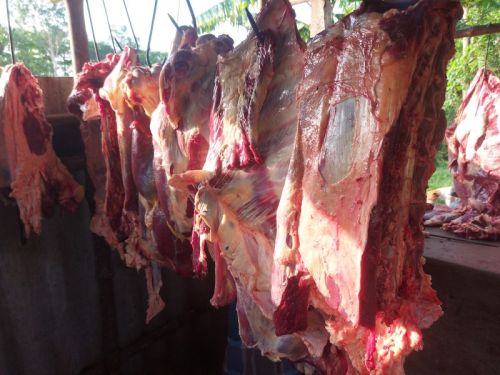 Light Red Fresh Buffalo Meat, For Cooking, Style : Frozen