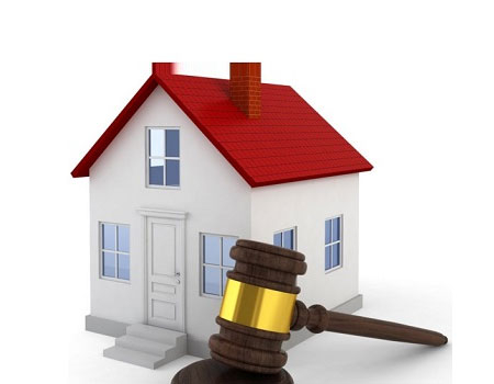 Property Legal Consultant