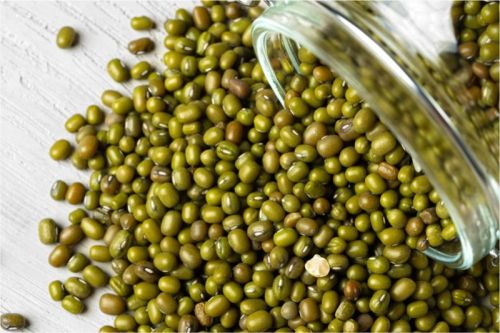 Organic Green Moong Dal, For Cooking, Certification : FSSAI Certified