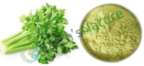 Earth's Nature Celery Powder, For Cooking, Color : Green