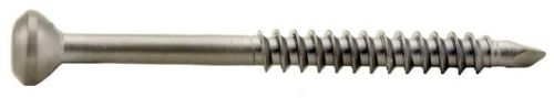 Interlocking Screw