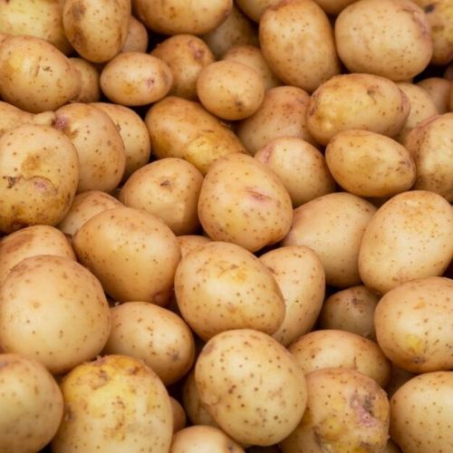 Brown Whole Organic Fresh Agra Potato, For Cooking, Shelf Life : 15 Days