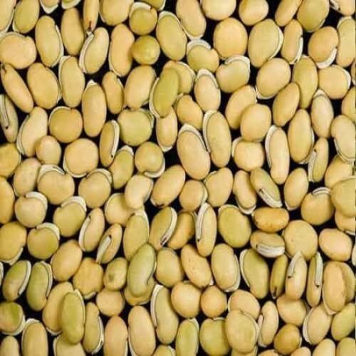 Field Beans, Grade : Food Grade