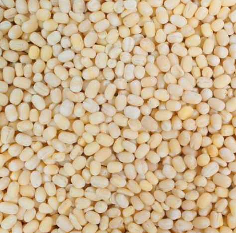 Natural Urad Dal Gota, Style : Seed