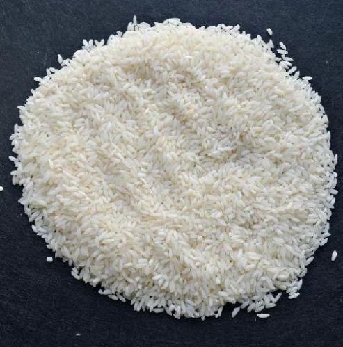 White Sona Masoori Steam Non Basmati Rice, For Cooking, Style : Dried