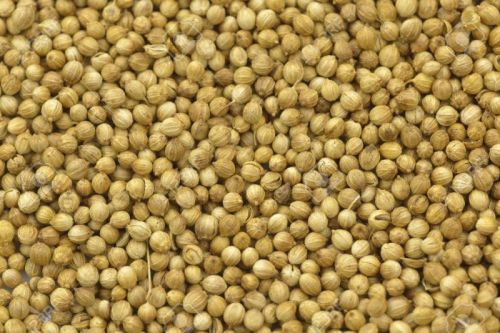 Unlock The Flavor With Premium Coriander Seeds From Aizmart Overseas