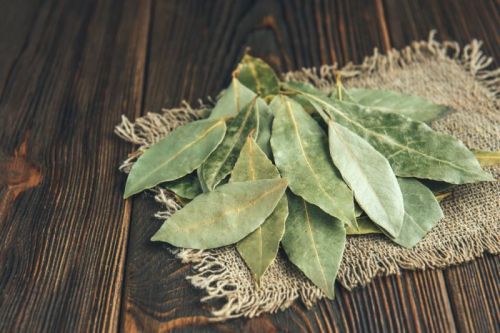 Green Bay Leaves, For Cooking, Style : Dried