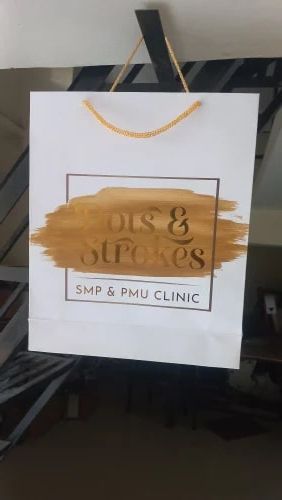 Printed Paper Bags, Size : Standard