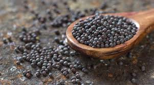 Solid Natural Black Mustard Seeds, For Spices, Packaging Size : 500gm