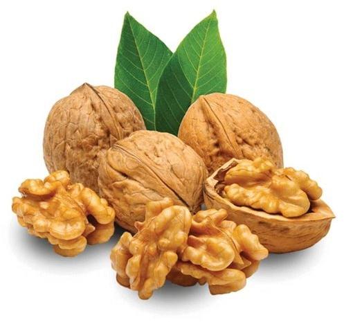 Brown Chile Walnut With Shell, For Human Consumption, Packaging Type : Vacuum Pack