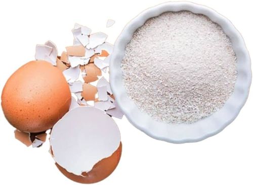 Egg Shell Powder, Purity : 100%