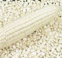  Organic White Maize