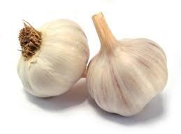 Organic Fresh Garlic, For Cooking, Packaging Type : Bag