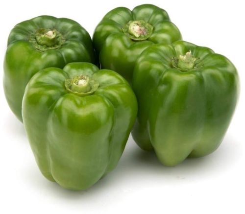 Fresh Green Capsicum, For Cooking, Shelf Life : 10-15 Days