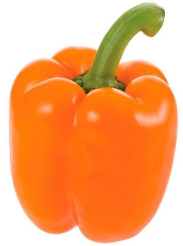 Fresh Orange Capsicum, For Cooking, Shelf Life : 10-15 Days