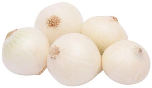 Round Organic Fresh White Onion, For Cooking, Style : Natural