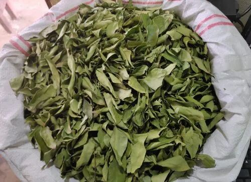 Green Dry Curry Leaves, For Cooking, Grade Standard : Food Grade