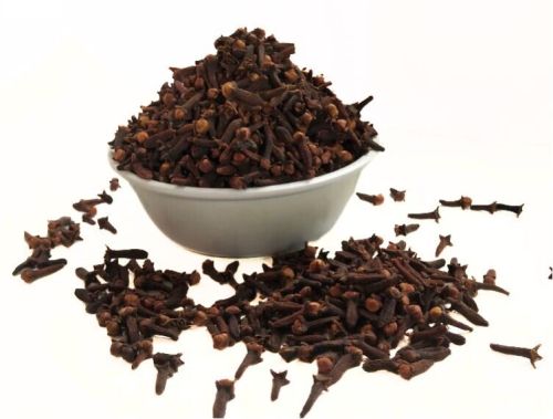 Clove, Variety : Indian