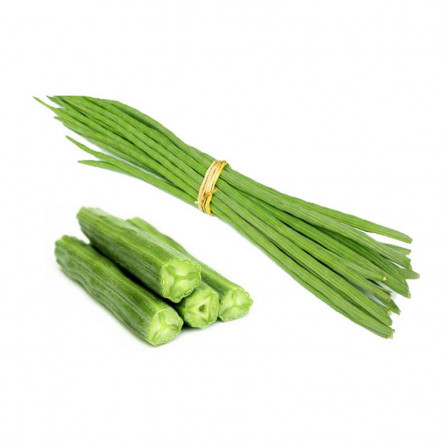 Green Organic Fresh Drumstick, For Cooking, Packaging Type : Bag