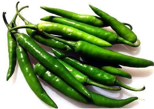 Organic Green Chilli, For Cooking, Packaging Type : Bag