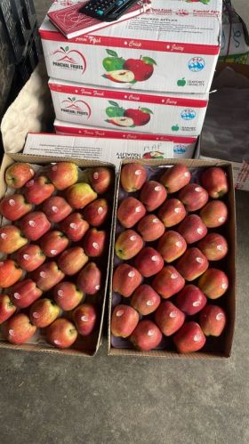 Natural Apple, Color : Red 40 size, Packaging Size : 10kg