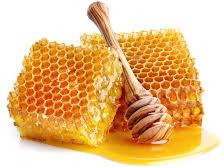 Forest Honey, For Clinical, Foods, Feature : Digestive, Energizes The Body, Freshness, Healthy, Optimum Purity