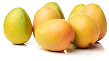 Natural Fresh Kesar Mango, For Juice Making, Direct Consumption, Taste : Sweet