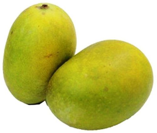 Raw Langra Mango, For Making Juice, Making Chutney, Making Pickle, Packaging Size : 10kg