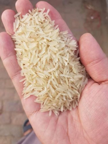 White Hard Organic Non Basmati Rice, For Cooking, Packaging Type : Jute Bags