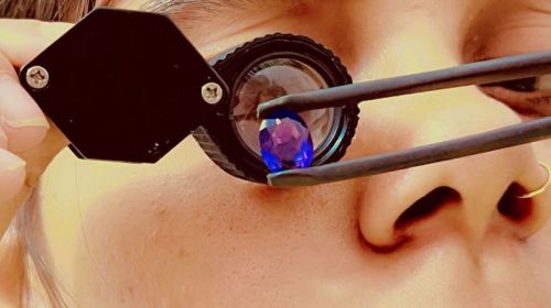 Diploma In Rudraksha Science