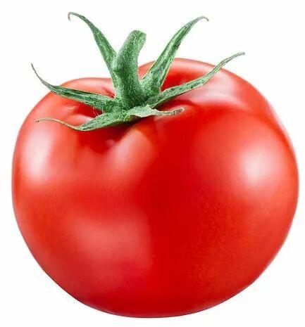 Fresh Red Tomato, Packaging Size : 25-50 Kg