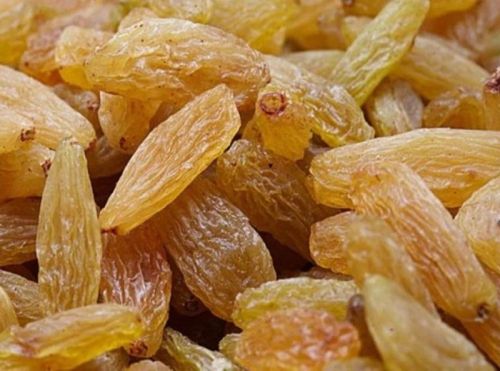 Golden Raisins, For Human Consumption, Taste : Sweet