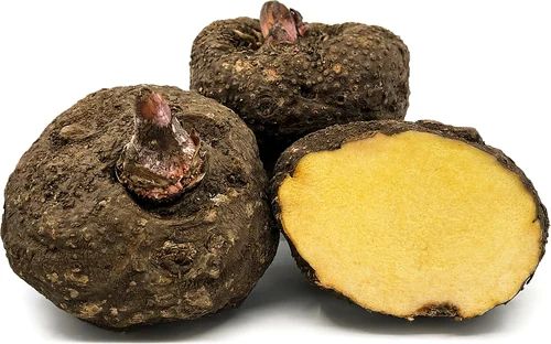 Whole Brown Fresh Yam, For Cooking, Packaging Type : Bag