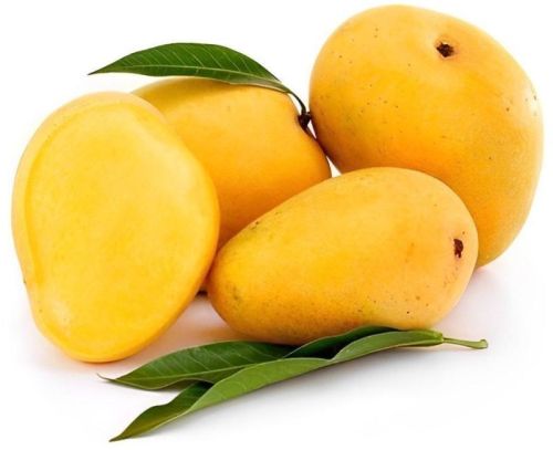 Natural Fresh Badami Mango, Color : Yellow, Packaging Size : 10 Kg, Packaging Type : Box