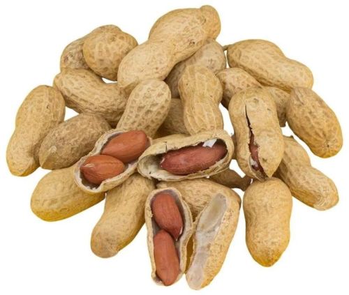 Light Brown Natural Shelled Groundnuts, For Making Flour, Making Oil, Packaging Type : PP Bag