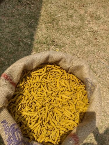 Turmeric Finger For Cooking, Spices