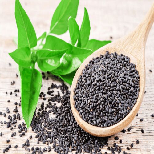Organic basil seeds, Color : Black, Purity : 100%