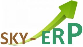Sky Si ERP System
