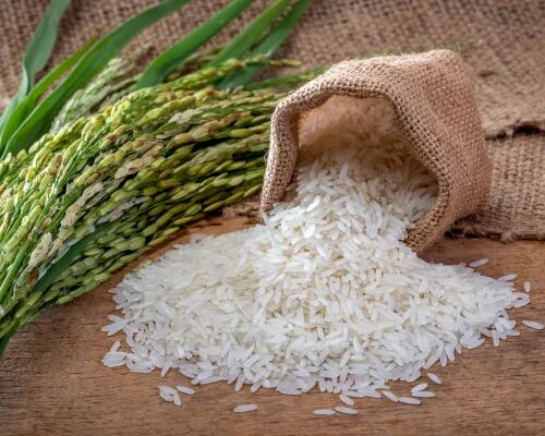 Natural White Basmati Rice, For Cooking, Packaging Size : 25-50 Kg