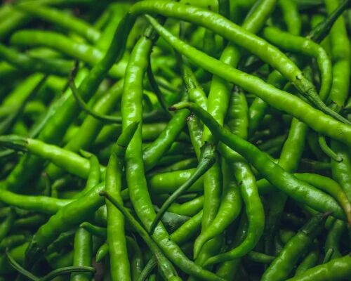 Fresh Green Chilli, For Cooking, Pickles, Sauces, Taste : Spicy