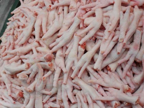 Frozen chicken feet for food