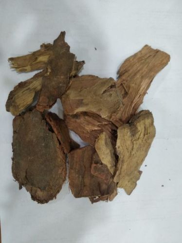 Arjun Chhal, Form : Solid