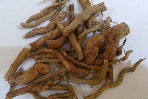 RRS Indrayan Root For Medicinal Use