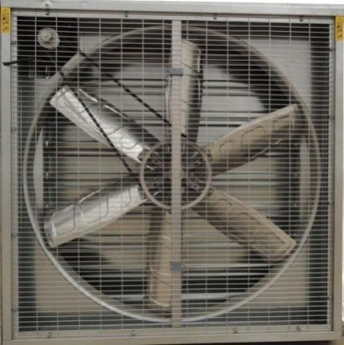 Exhaust Fan
