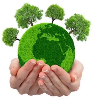 Environmental Monitoring Service