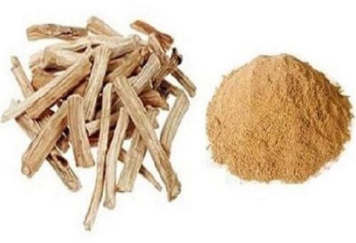 Asparagus Racemosus Extract Powder, Shelf Life : 24 Months