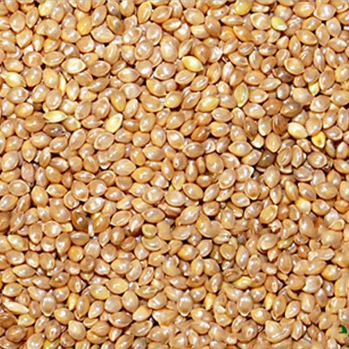 Common Brown Barnyard Millet, For Cattle Feed, Cooking, Variety : Dried