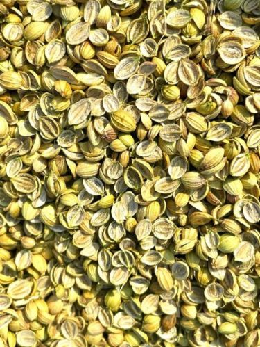 Dried Green Split Coriander Seeds for Cooking