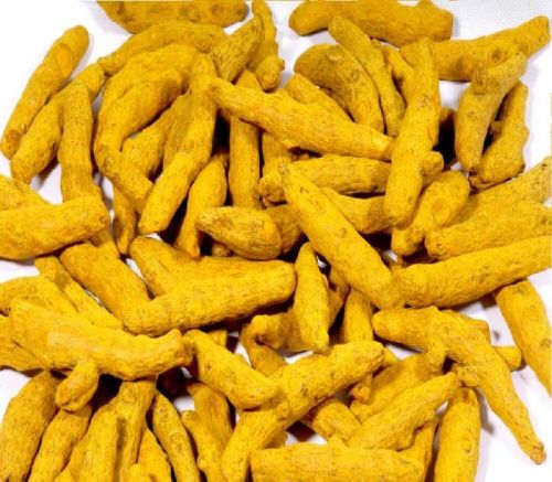 Yellow Dried Turmeric Finger, For Cooking, Food Medicine, Cosmetics, Packaging Type : Gunny Bags